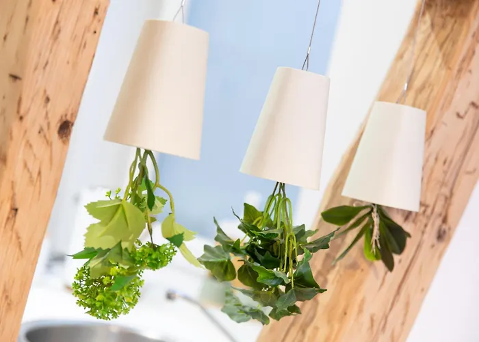 Le St-jean アパート コルマール